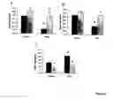 Fig. 03 - METHOD FOR CONTROLLING GLUCOSE UPTAKE AND INSULIN SENSITIVITY