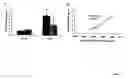 Fig. 05 - METHOD FOR CONTROLLING GLUCOSE UPTAKE AND INSULIN SENSITIVITY