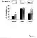 Fig. 08 - METHOD FOR CONTROLLING GLUCOSE UPTAKE AND INSULIN SENSITIVITY