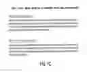 Fig. 04 - Compositions and methods of tolerizing a primate to an antigen
