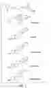 Fig. 02 - Methods of treating pancreatic or liver cancer using hedgehog antagonists