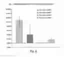 Fig. 06 - Methods of treating pancreatic or liver cancer using hedgehog antagonists