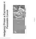 Fig. 41 - Methods of treating pancreatic or liver cancer using hedgehog antagonists