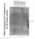 Fig. 48 - Methods of treating pancreatic or liver cancer using hedgehog antagonists