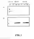 Fig. 04 - Monoclonal antibody and use thereof