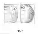 Fig. 08 - Monoclonal antibody and use thereof
