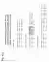 Fig. 133 - Compositions of humanized notch fusion proteins and methods of treatment