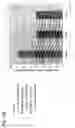 Fig. 140 - Compositions of humanized notch fusion proteins and methods of treatment