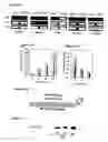Fig. 31 - Compositions of humanized notch fusion proteins and methods of treatment