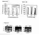Fig. 41 - Compositions of humanized notch fusion proteins and methods of treatment