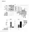 Fig. 50 - Compositions of humanized notch fusion proteins and methods of treatment