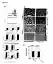Fig. 55 - Compositions of humanized notch fusion proteins and methods of treatment