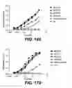Fig. 102 - ANTIGEN-BINDING CONSTRUCTS