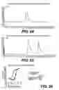 Fig. 31 - ANTIGEN-BINDING CONSTRUCTS