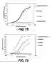 Fig. 42 - ANTIGEN-BINDING CONSTRUCTS