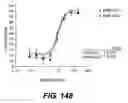 Fig. 89 - ANTIGEN-BINDING CONSTRUCTS