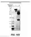 Fig. 99 - ANTIGEN-BINDING CONSTRUCTS