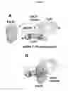 Fig. 35 - Toll-like receptor 3 antagonists