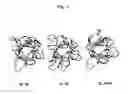 Fig. 02 - ANTIBODIES THAT BIND IL-18 AND METHODS OF INHIBITING IL-18 ACTIVITY