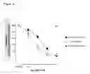 Fig. 04 - Antibodies to TGFβ