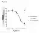 Fig. 06 - Antibodies to TGFβ
