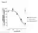 Fig. 09 - Antibodies to TGFβ