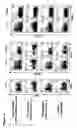 Fig. 02 - METHODS OF MODULATING THE OX40 RECEPTOR TO TREAT CANCER