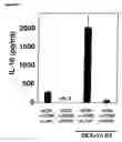 Fig. 06 - METHODS OF MODULATING THE OX40 RECEPTOR TO TREAT CANCER