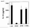 Fig. 08 - METHODS OF MODULATING THE OX40 RECEPTOR TO TREAT CANCER