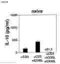 Fig. 11 - METHODS OF MODULATING THE OX40 RECEPTOR TO TREAT CANCER