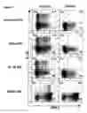 Fig. 14 - METHODS OF MODULATING THE OX40 RECEPTOR TO TREAT CANCER
