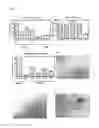 Fig. 08 - IMMUNOGENIC COMPOSITIONS CAPABLE OF ACTIVATING T-CELLS