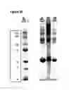 Fig. 30 - IMMUNOGENIC COMPOSITIONS CAPABLE OF ACTIVATING T-CELLS