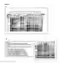 Fig. 35 - IMMUNOGENIC COMPOSITIONS CAPABLE OF ACTIVATING T-CELLS