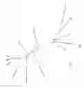Fig. 07 - SUPPRESSION OF ALLERGIC INFLAMMATION BY ASCARIS HEME-BINDING PROTEIN (HBP)