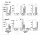 Fig. 22 - Compositions and methods using recombinant MHC molecules for the treatment of uveitis