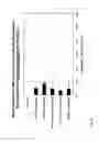 Fig. 04 - COMPOSITION CONTAINING HCMV PARTICLES