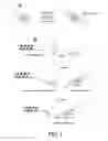 Fig. 06 - MIXED MICELLES INCLUDING AMPHIPATHIC CONJUGATES OF RNA AGENTS, AND USES THEREOF