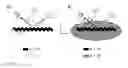 Fig. 09 - USE OF ZERO-ORDER DIFFRACTIVE PIGMENTS