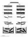 Fig. 11 - USE OF ZERO-ORDER DIFFRACTIVE PIGMENTS