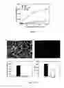 Fig. 09 - Modification Of Biomaterials With Microgel Films
