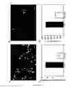 Fig. 10 - Modification Of Biomaterials With Microgel Films
