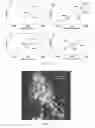 Fig. 16 - Silk Fibroin Hydrogels and Uses Thereof