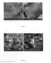Fig. 07 - Coating and coating method