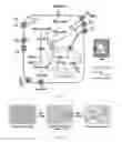 Fig. 02 - Compositions and methods for the treatment of cancer