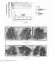 Fig. 03 - Compositions and methods for the treatment of cancer
