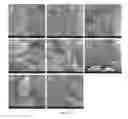 Fig. 17 - Silk Fibroin Hydrogels and Uses Thereof
