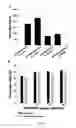 Fig. 06 - Photocrosslinked biodegradable hydrogel