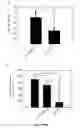 Fig. 22 - Photocrosslinked biodegradable hydrogel