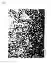 Fig. 05 - Suspension of ascorbic acid in glycerin and process for production thereof